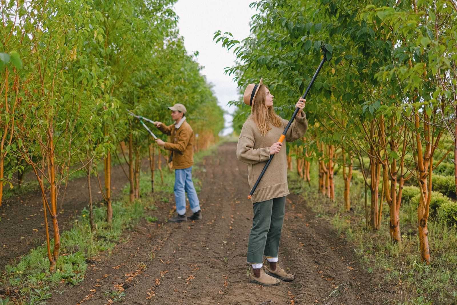 Arbeiter mit Hochentaster und Gartenschere schneiden Äste